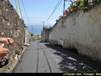 Portugal - Madere - Funchal - 036